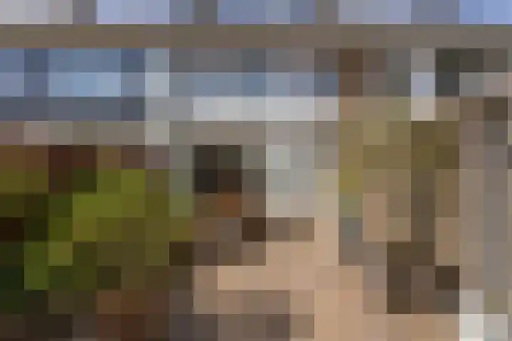 Graaf Lodewijkstraat 4 Zoetermeer thumbnail 38