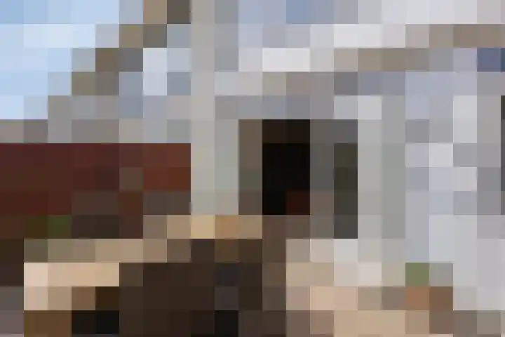 Graaf Lodewijkstraat 4 Zoetermeer thumbnail 39