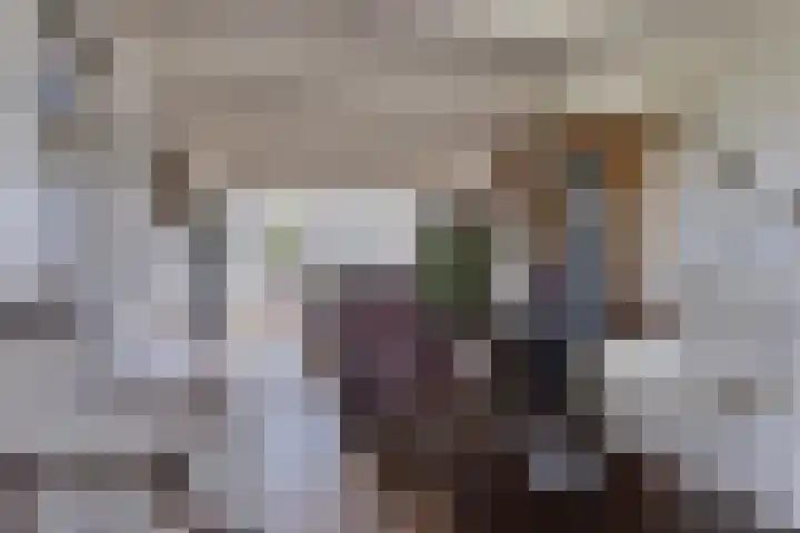 Graaf Lodewijkstraat 4 Zoetermeer thumbnail 7