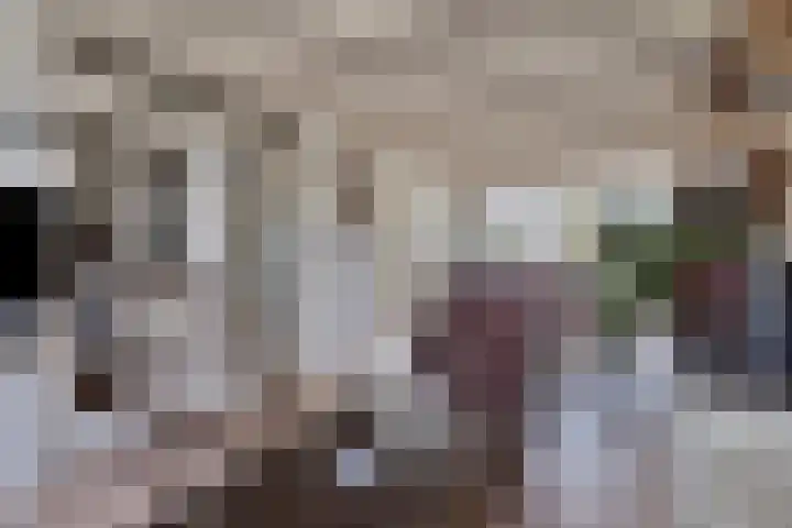 Graaf Lodewijkstraat 4 Zoetermeer thumbnail 8
