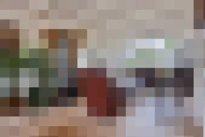 Graaf Lodewijkstraat 4 Zoetermeer thumbnail 9