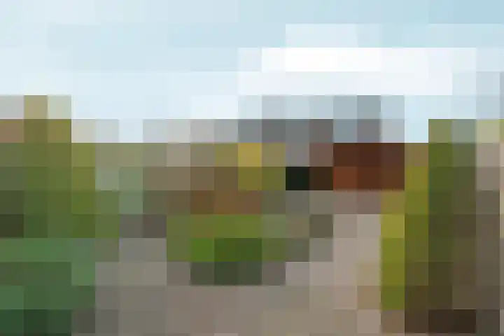 Graaf Ottoweg 72 Lobith thumbnail 34