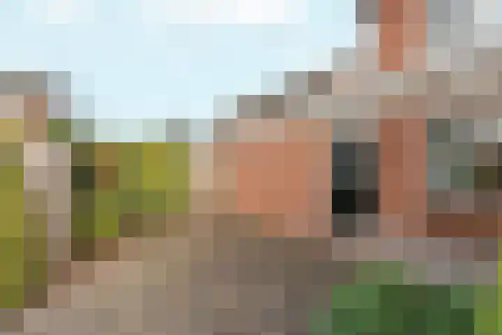 Graaf Ottoweg 72 Lobith thumbnail 37