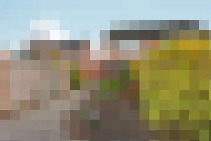 Graaf Ottoweg 72 Lobith thumbnail 38