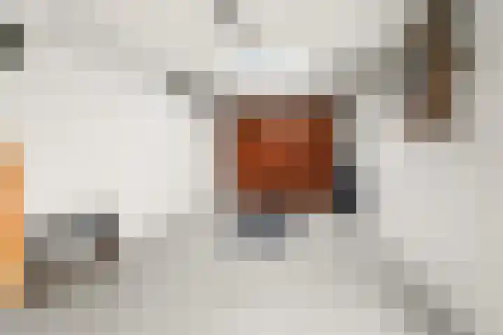 Graaf Ottoweg 72 Lobith thumbnail 4