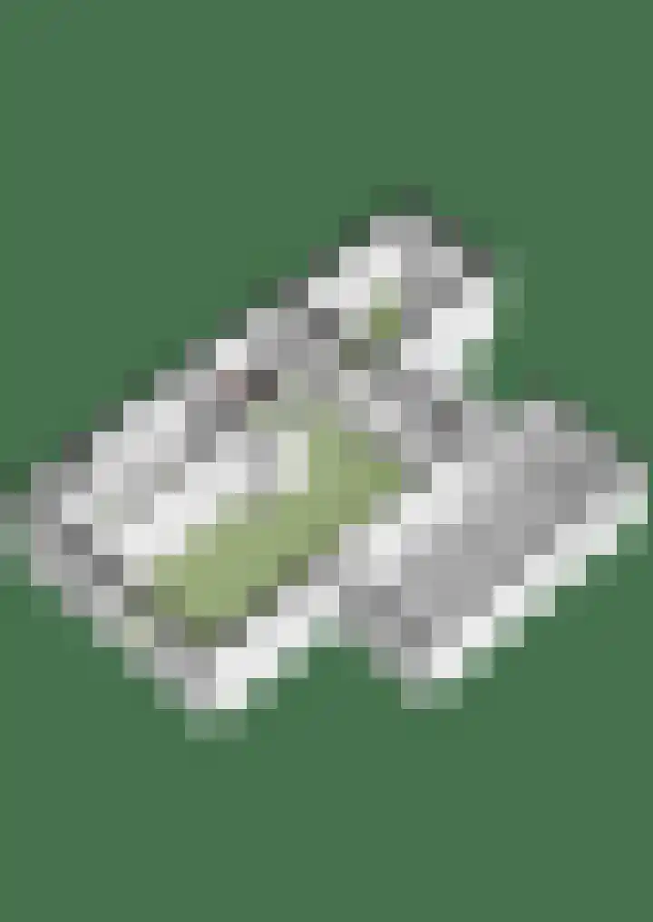 Graaf Ottoweg 72 Lobith thumbnail 42