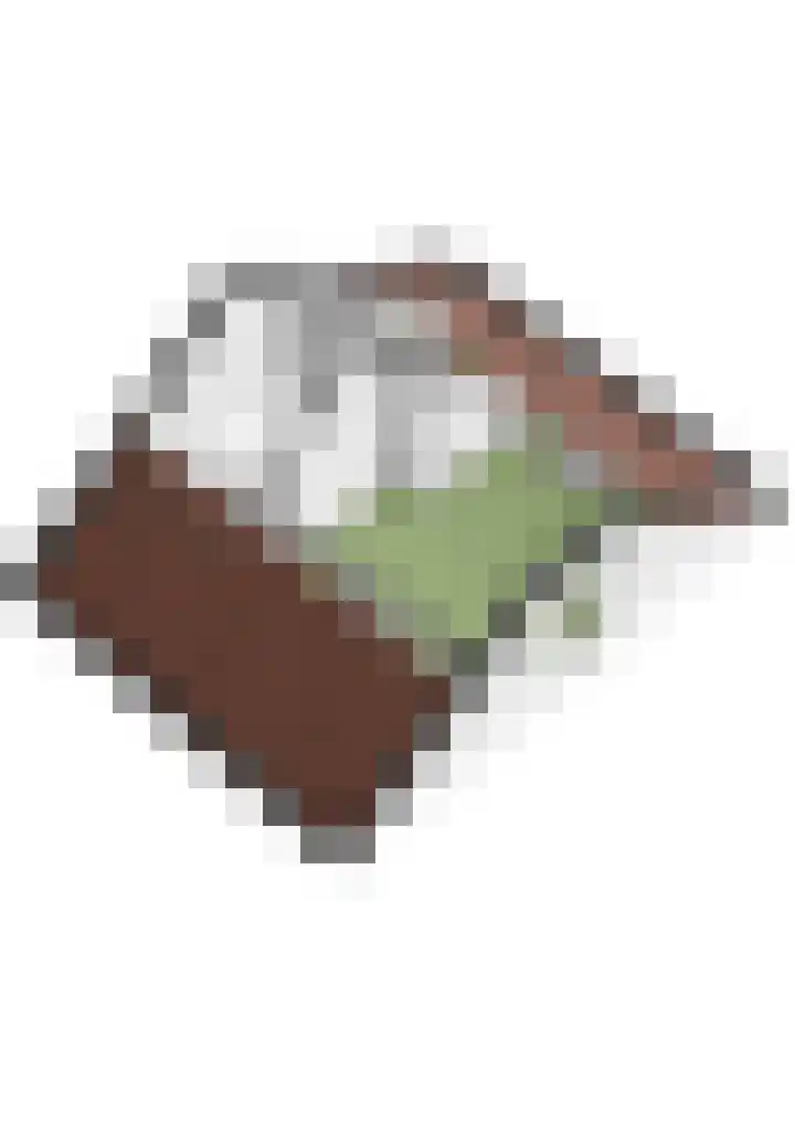 Graaf Ottoweg 72 Lobith thumbnail 46