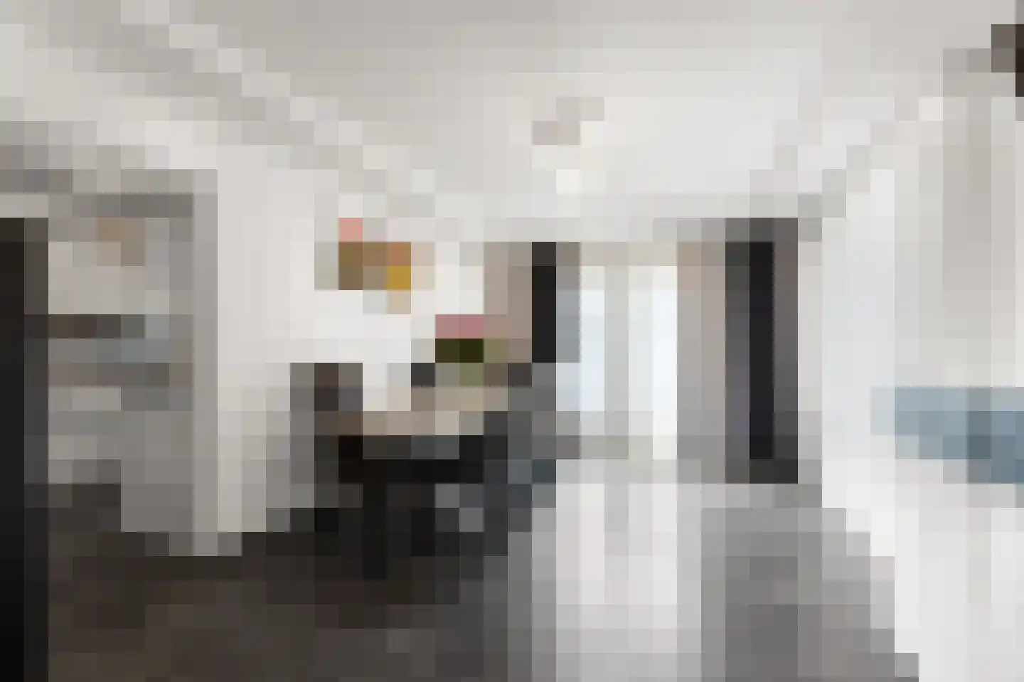 Graaf Reinaldstraat 25 Lobith thumbnail 11