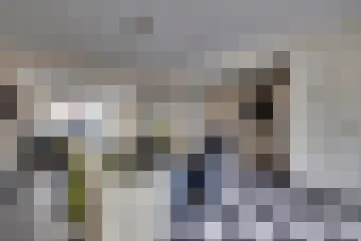 Graaf Reinaldstraat 53 Lobith thumbnail 10