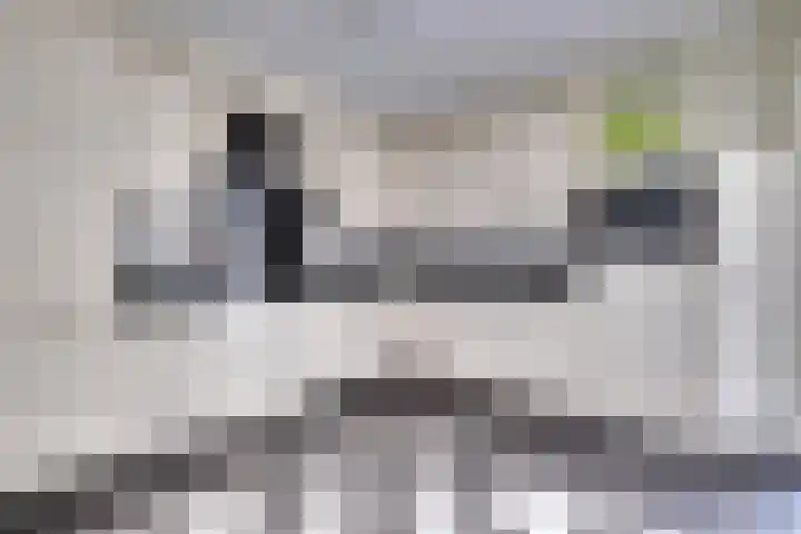 Graaf Reinaldstraat 53 Lobith thumbnail 12