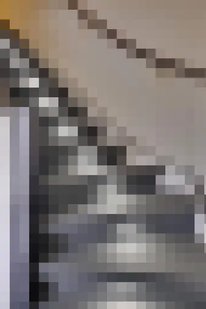 Graaf Reinaldstraat 53 Lobith thumbnail 13
