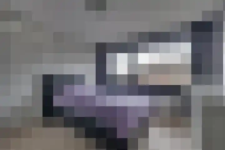 Graaf Reinaldstraat 53 Lobith thumbnail 16