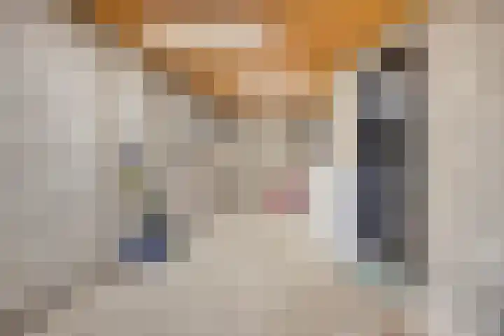 Graaf van Bronkhorststr 2 Gronsveld thumbnail 17