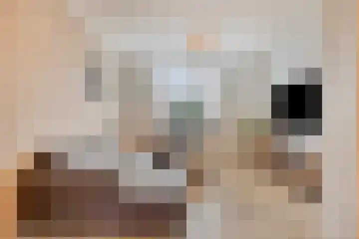 Graaf van Bronkhorststr 2 Gronsveld thumbnail 5