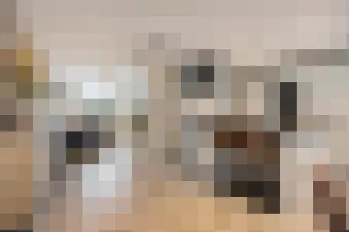 Graaf van Bronkhorststr 2 Gronsveld thumbnail 8