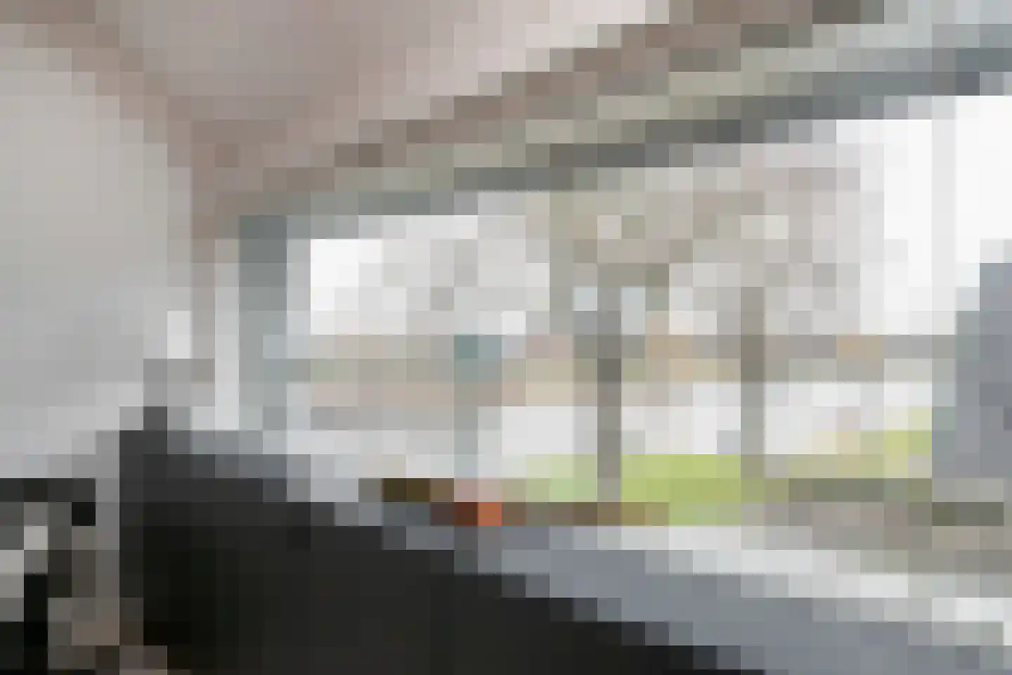 Graaf van Solmsweg 85 's-Hertogenbosch thumbnail 11