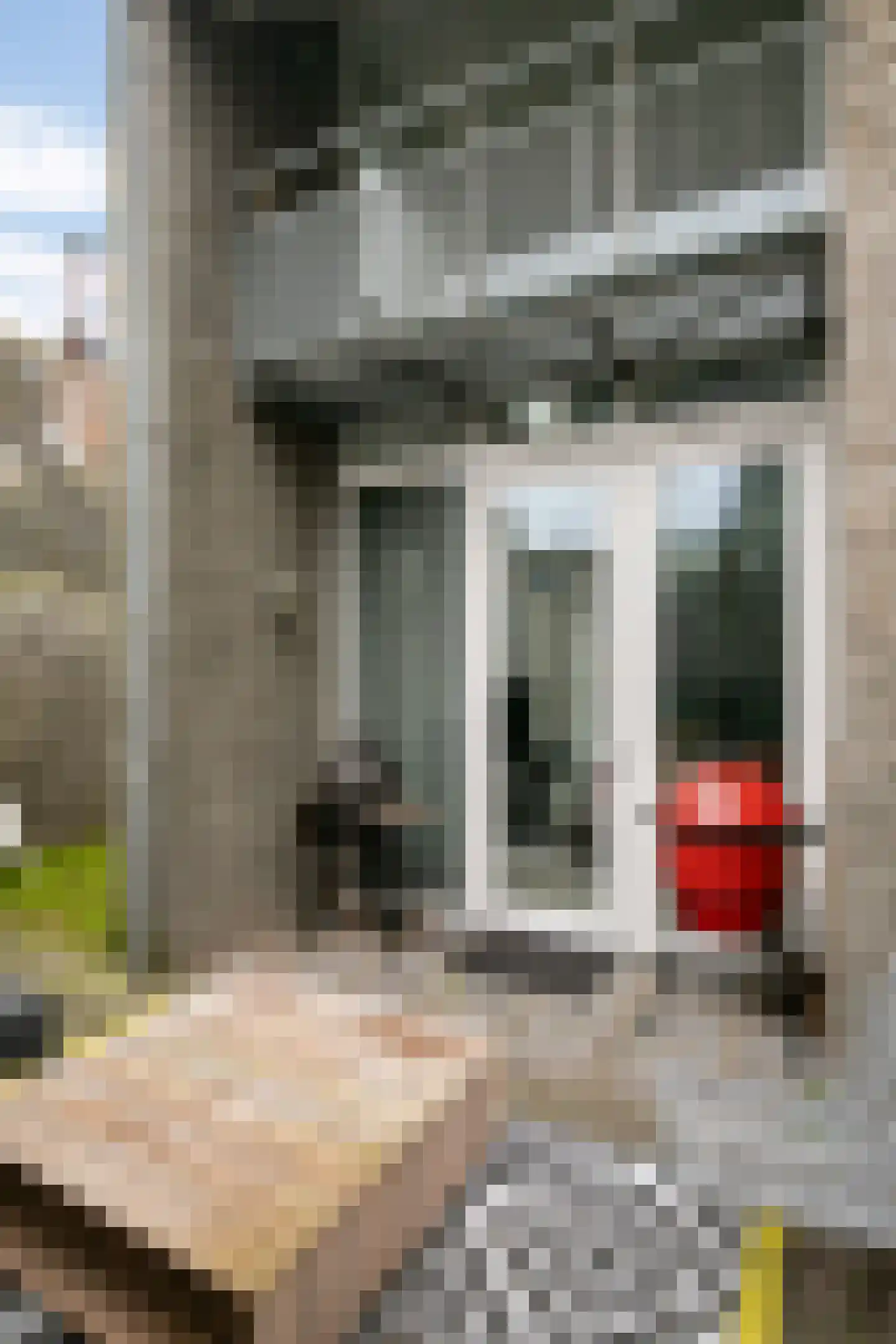 Graaf van Solmsweg 85 's-Hertogenbosch thumbnail 30