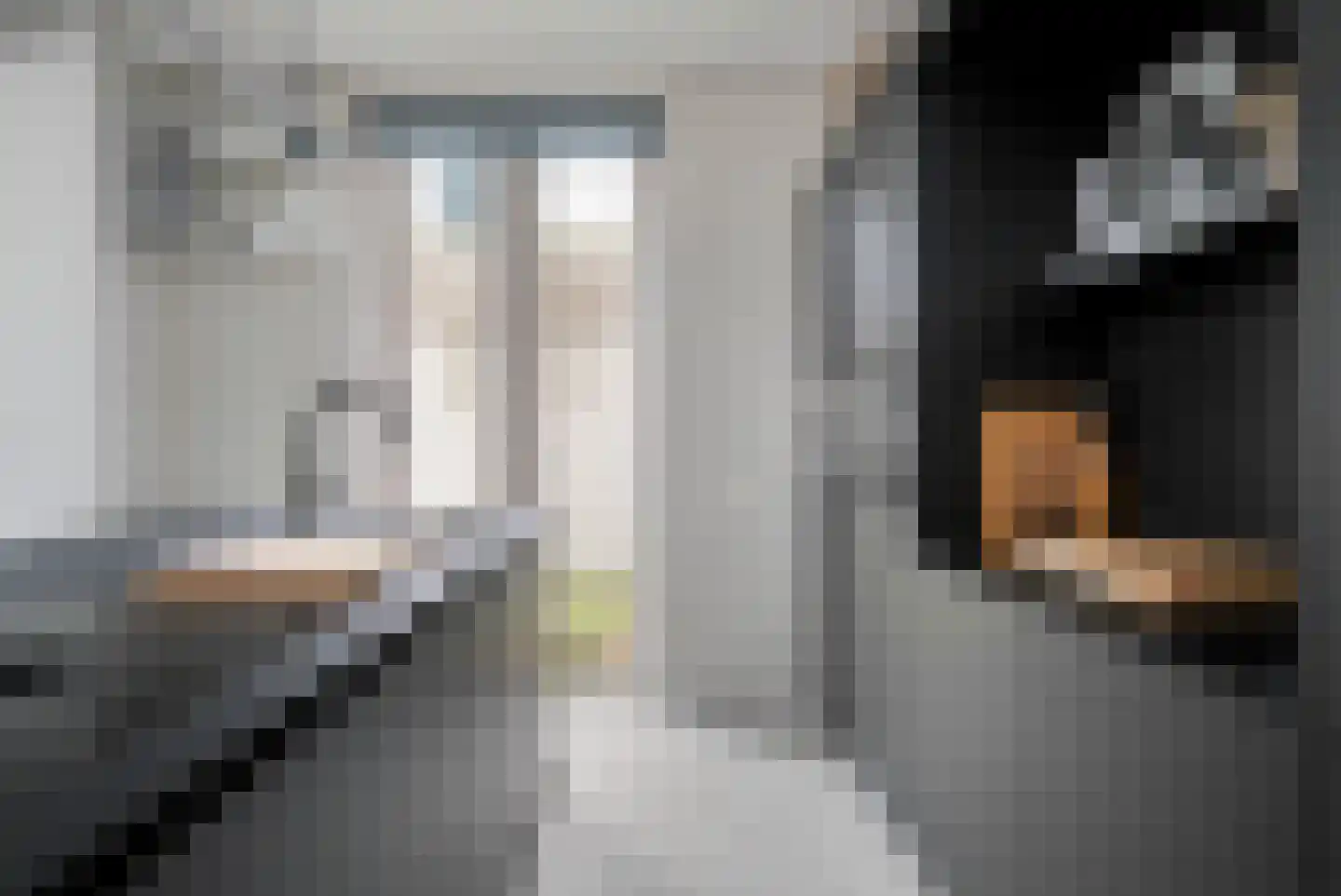 Graaf van Solmsweg 85 's-Hertogenbosch thumbnail 35