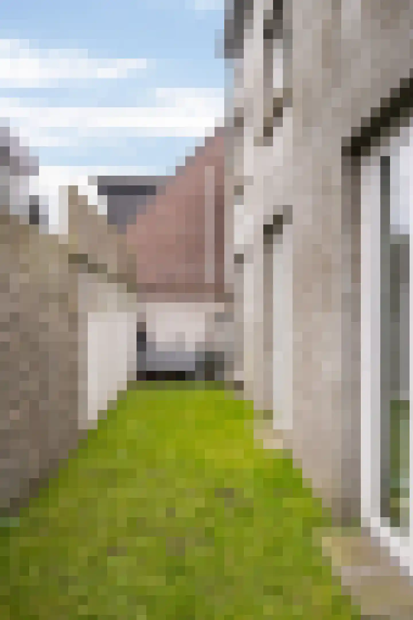 Graaf van Solmsweg 85 's-Hertogenbosch thumbnail 36