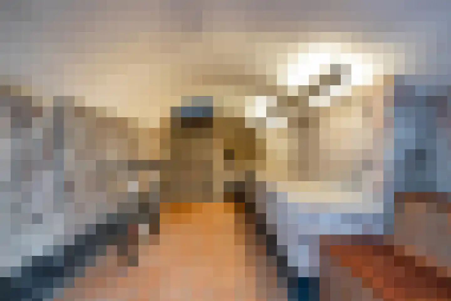 Graaf van Solmsweg 85 's-Hertogenbosch thumbnail 45