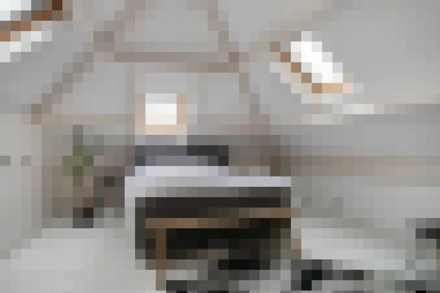 Graaf van Solmsweg 85 's-Hertogenbosch thumbnail 47