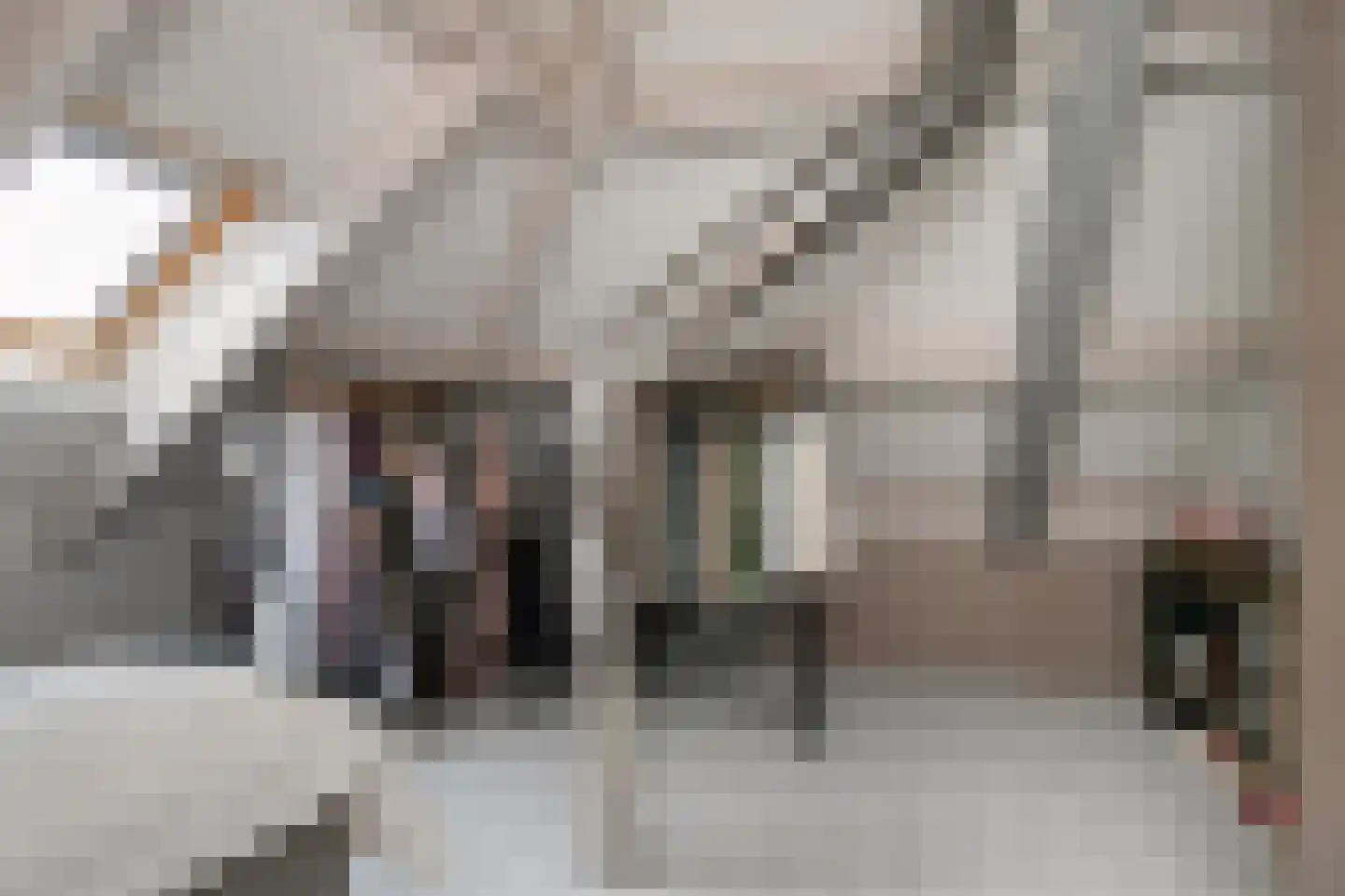 Graaf van Solmsweg 85 's-Hertogenbosch thumbnail 52