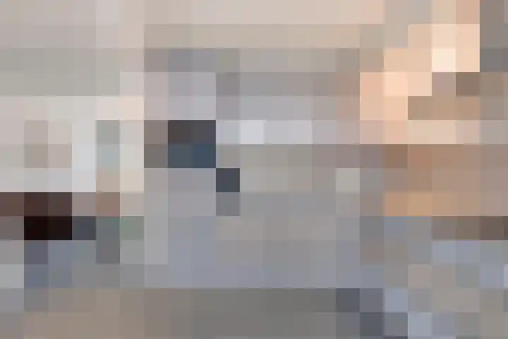 Graaf van Wassenbergstraat 11 Linne thumbnail 14
