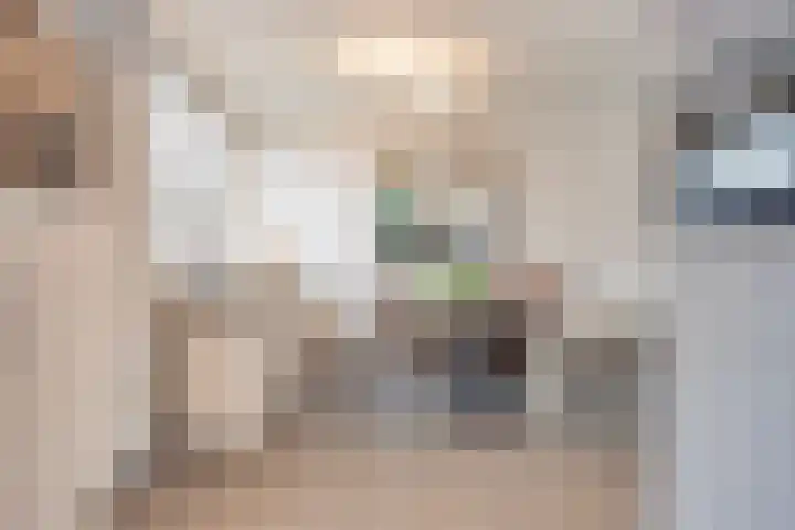 Graaf van Wassenbergstraat 11 Linne thumbnail 15