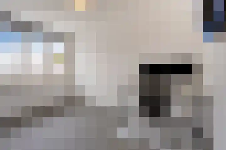 Graaf van Wassenbergstraat 11 Linne thumbnail 19