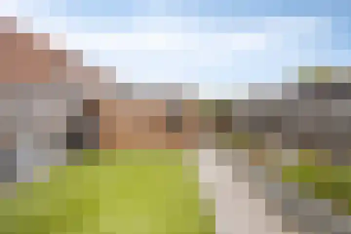 Graaf van Wassenbergstraat 11 Linne thumbnail 27