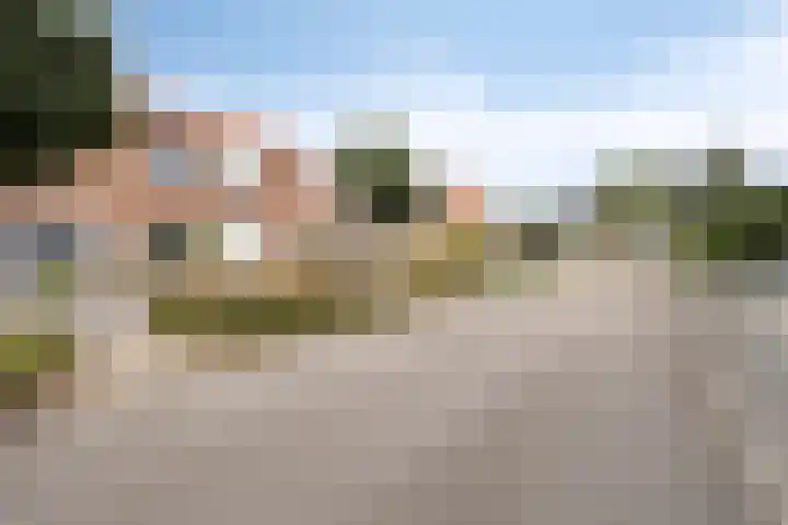 Graaf van Wassenbergstraat 11 Linne thumbnail 35