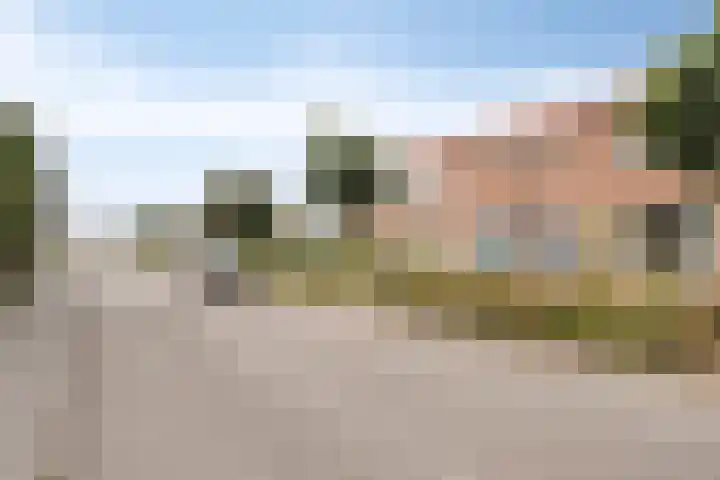Graaf van Wassenbergstraat 11 Linne thumbnail 36