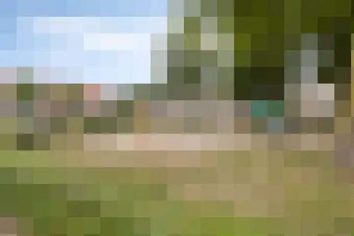 Graaf van Wassenbergstraat 11 Linne thumbnail 37