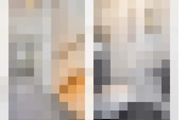 Graaf van Wassenbergstraat 11 Linne thumbnail 6