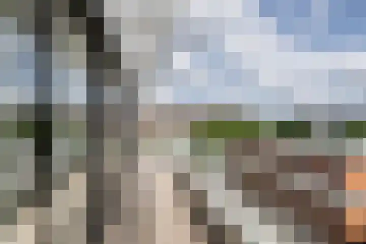 Graaf Walramlaan 51 Vlaardingen thumbnail 31