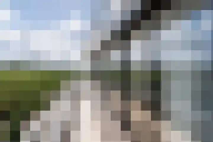 Graaf Walramlaan 51 Vlaardingen thumbnail 32