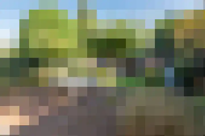 Graaf Wichmanlaan 50 Bussum thumbnail 44