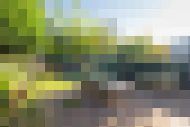 Graaf Wichmanlaan 50 Bussum thumbnail 46