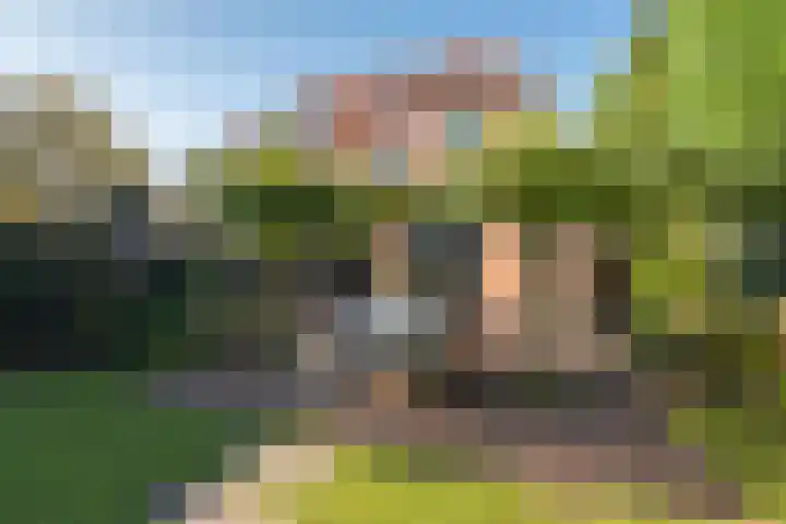 Graaf Wichmanlaan 50 Bussum thumbnail 47