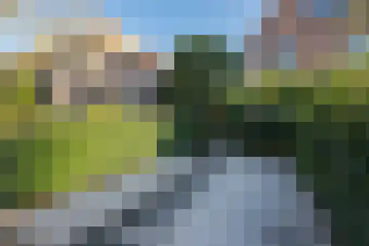 Graaf Wichmanlaan 50 Bussum thumbnail 64