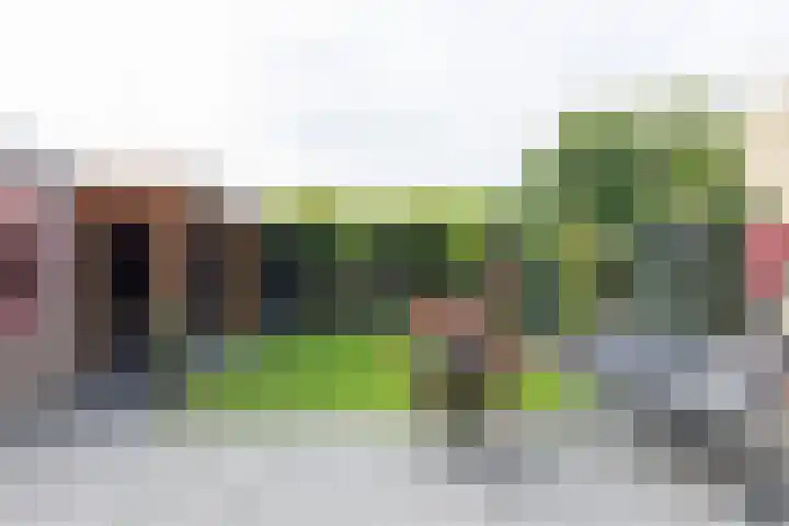 Graaf Wichmanstraat 15 Borculo thumbnail 30