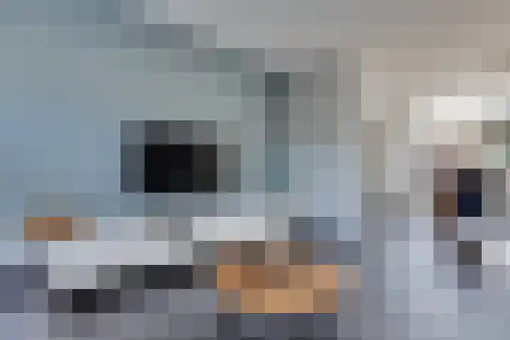 Graaf Wichmanstraat 15 Borculo thumbnail 7