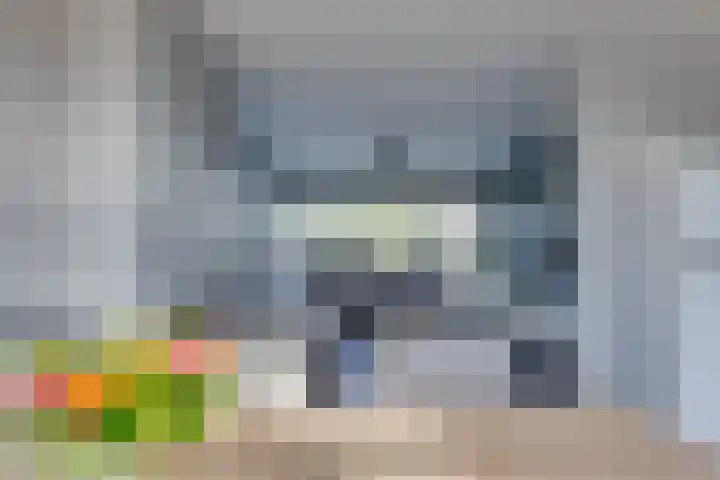 Graaf Wichmanstraat 15 Borculo thumbnail 8