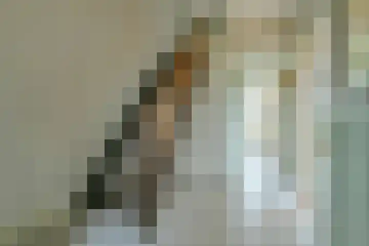 Graaf Willemlaan 83 Monnickendam thumbnail 12