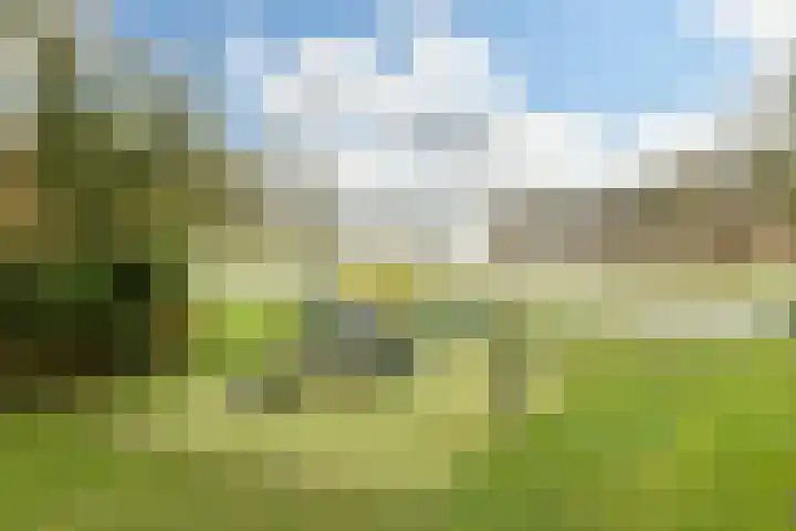 Graaf Willemlaan 83 Monnickendam thumbnail 30