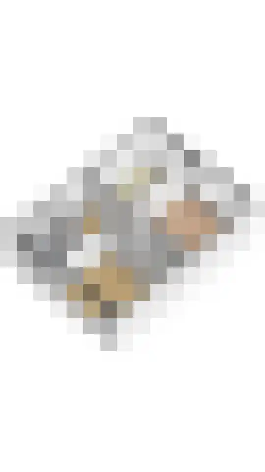 Graaf Willemlaan 83 Monnickendam thumbnail 34