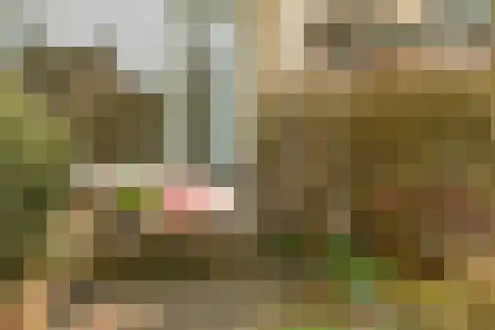 Graaf Willemlaan 83 Monnickendam thumbnail 5