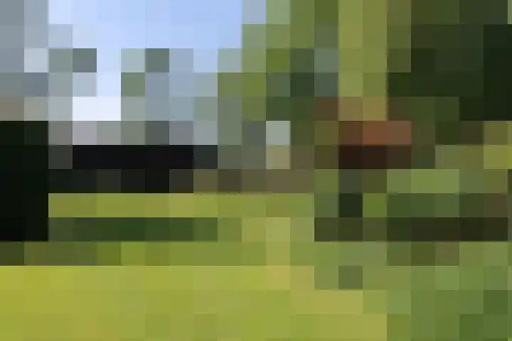 Graafdijk-oost 48 Molenaarsgraaf thumbnail 51