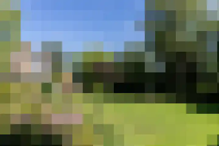 Graafdijk-oost 48 Molenaarsgraaf thumbnail 55