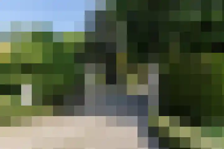 Graafdijk-oost 48 Molenaarsgraaf thumbnail 6